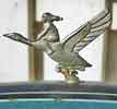 Pilen mascot