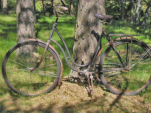 Reo damcykel
